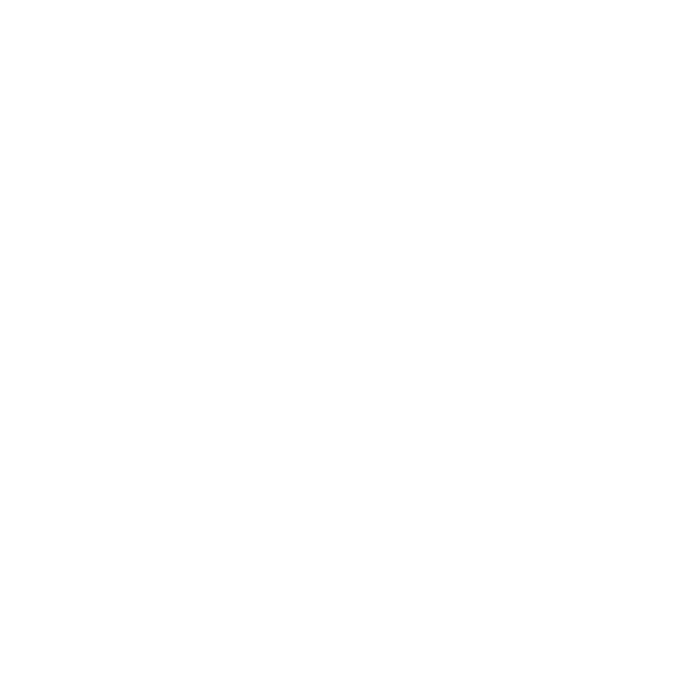 Home in Bold Logo